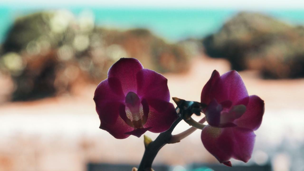 Rosa Marina Villa Scicli Luaran gambar